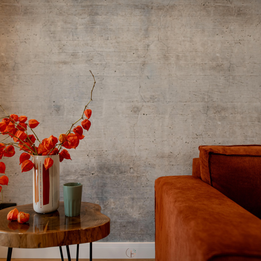 Tapet cu aspect de beton gri, Real Concrete, VLAdiLA