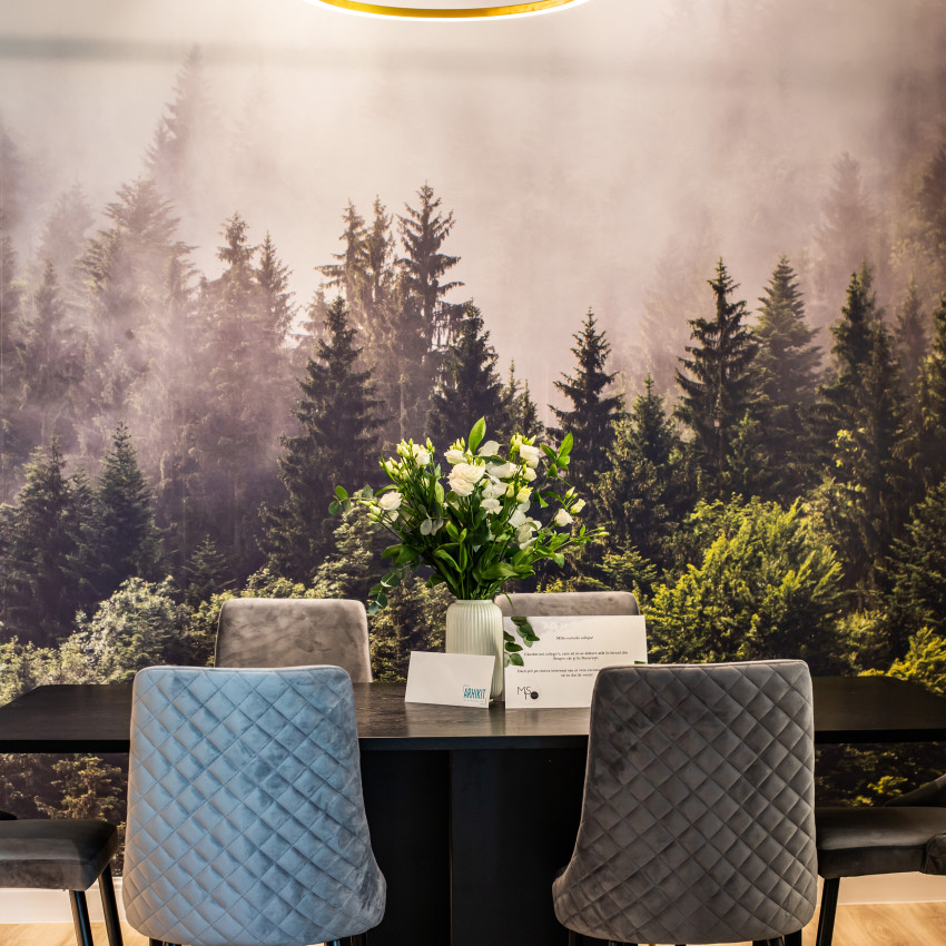 Fototapet cu pădure de brazi în ceață în living modern