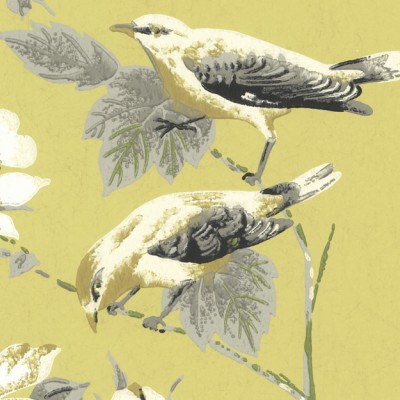 Rosemore, Yellow Luxury Bird, 1838 Wallcoverings, 5.3mp / rola