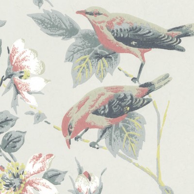 Tapet Rosemore, Grey Luxury Bird, 1838 Wallcoverings, 5.3mp / rola, Tapet living 