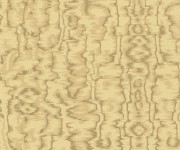 Tapet Avington, Gold Luxury Moire, 1838 Wallcoverings, 5.3mp / rola