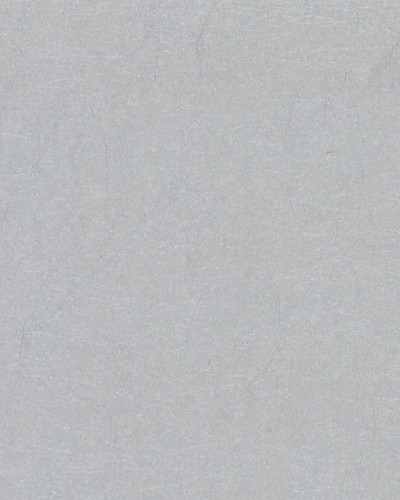 Tapet simplu argintiu cu textura fina