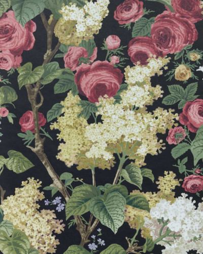 Tapet cu flori mari, colorate, pe un fond negru. Floribunda, Midnight Black.