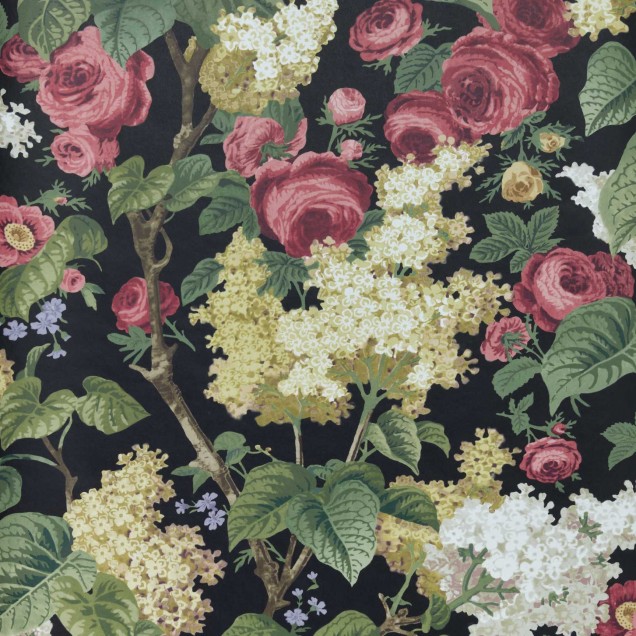 Tapet cu flori mari, colorate, pe un fond negru. Floribunda, Midnight Black.