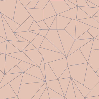 Tapet geometric somon
