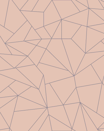 Tapet geometric somon