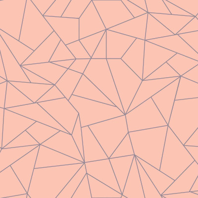 Tapet cu design geometric somon pentru un interior modern
