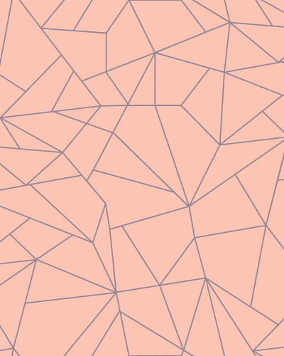 Tapet cu design geometric somon pentru un interior modern