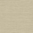 Interlock, 6461181, Coordonne