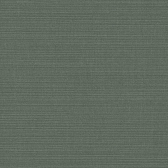 Ribbons Jade, Coordonne