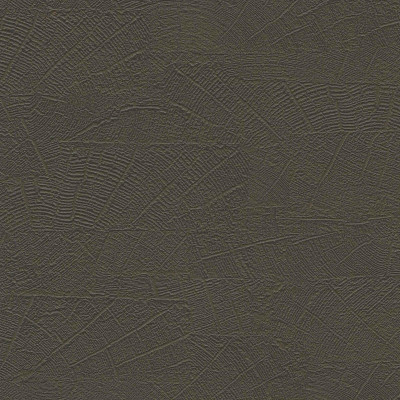Organic, 6461571, Coordonne