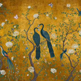 Core, Edo Gold, Coordonne