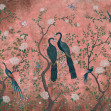 Core, Edo Pink, Coordonne