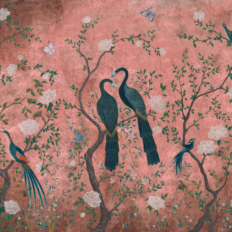 Core, Edo Pink, Coordonne