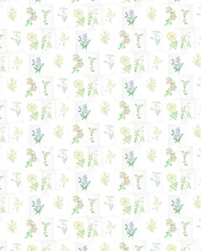Tapet cu ilustrații botanice într-un dormitor luminos