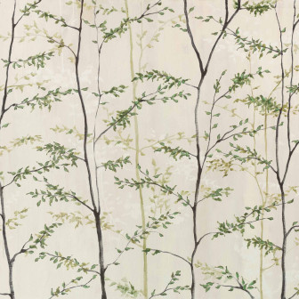 Woods, Natural, Coordonne