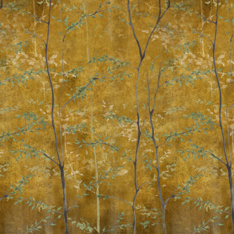 Woods, Gold, Coordonne