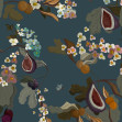 Fruits, Saphire, Coordonne, 5mp / rola