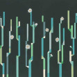 Flor de Cactus, Noche, Coordonne