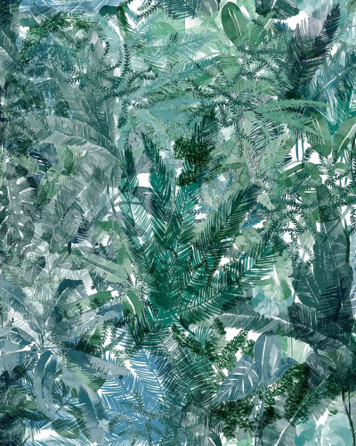 Jungle Dream, Bahia, Coordonne