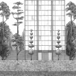 Urban Garden, Black and White, Coordonne