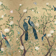 Edo, Extra Gold, Coordonne
