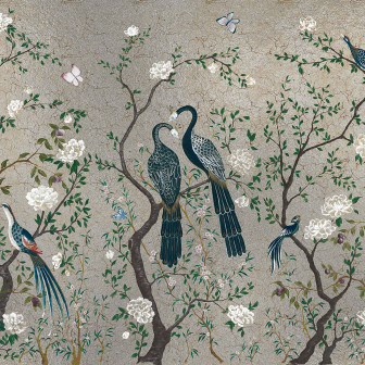 Edo, Silver, Coordonne