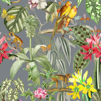 Parrots, Tormenta, Coordonne, 5mp / rola