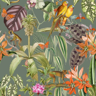 Parrots, Musgo, Coordonne, 5mp / rola