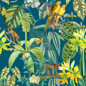 Parrots, Añil, Coordonne, 5mp / rola