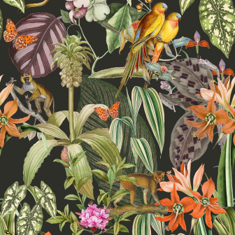 Parrots, Antracita, Coordonne, 5mp / rola