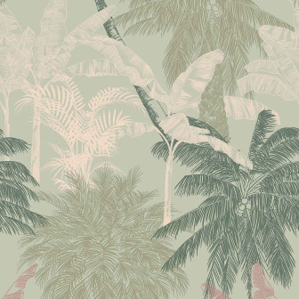 Palms, Menta, Coordonne, 5mp / rola