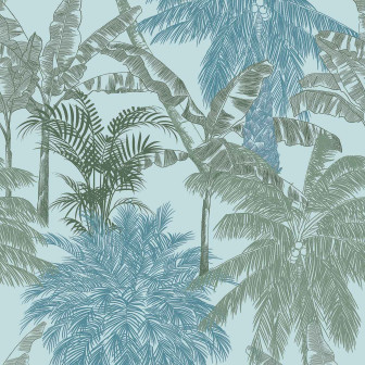 Palms, Caqui, Coordonne, 5mp / rola