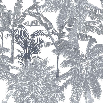 Palms, Plomo, Coordonne, 5mp / rola