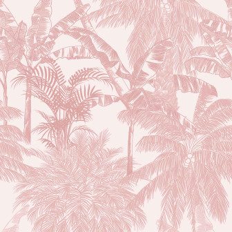 Palms, Quarzo, Coordonne, 5mp / rola