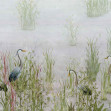 Victoria, Primavera, Coordonne