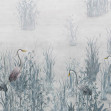 Victoria, Invierno, Coordonne