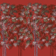 Mythical, Coral, Coordonne