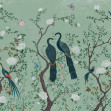 Edo, Aqua, Coordonne
