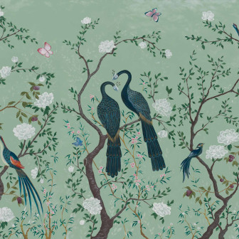 Edo, Aqua, Coordonne