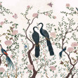 Edo, Swan, Coordonne