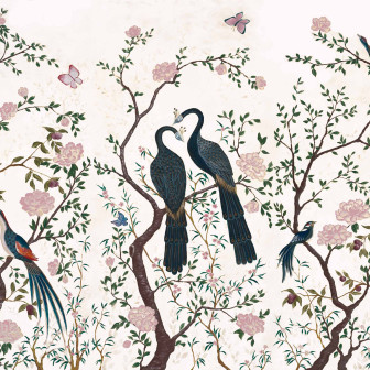 Edo, Swan, Coordonne