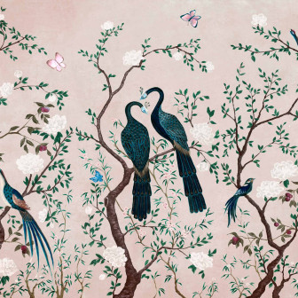 Edo, Peony, Coordonne
