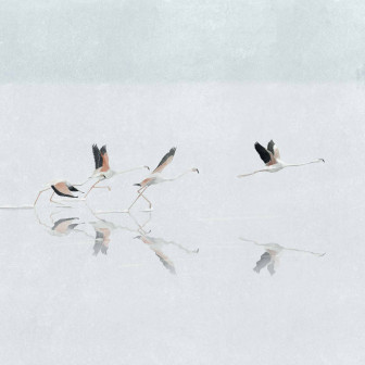 Doñana, Sky, Coordonne