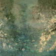 Heoridas a Papyrus, Coordonne