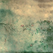 Heoridas b Papyrus, Coordonne