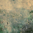 Heoridas c Papyrus, Coordonne