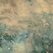 Heoridas d Papyrus, Coordonne