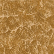 Sepia, Curry, Coordonne, 5mp / rola