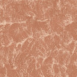 Sepia, Rose, Coordonne, 5mp / rola